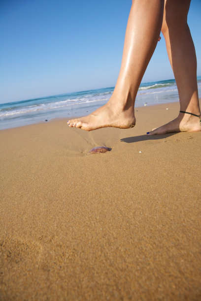 动物皮纹压纹肌理纹