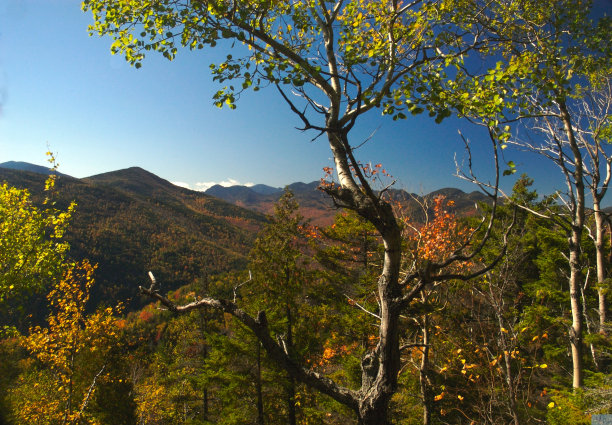 adirondack