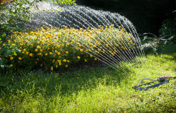 sprinkler