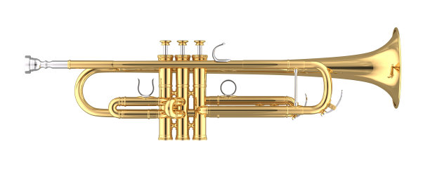 horns