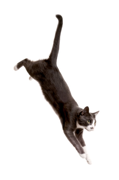 leaping