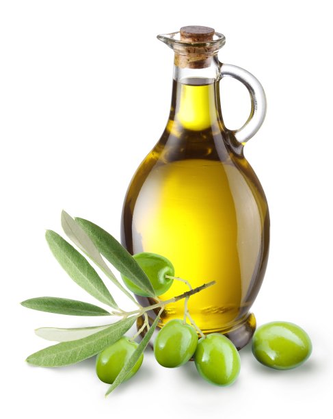 橄榄油橄榄树
