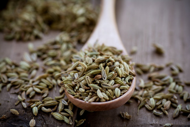 fennel
