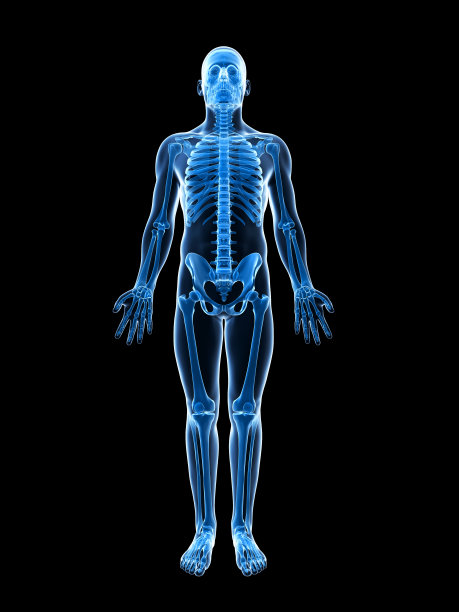 skeleton