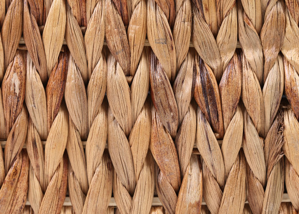cane