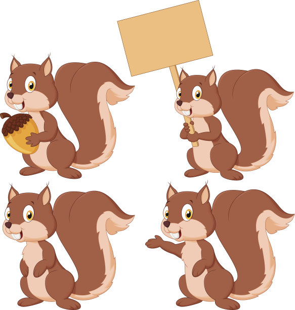 squirrel