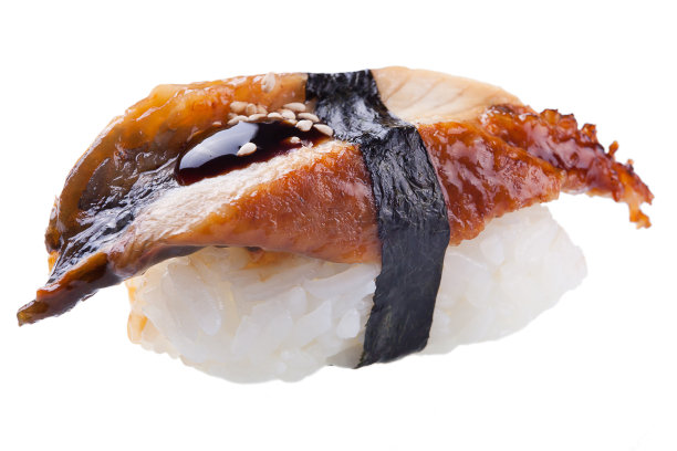eel