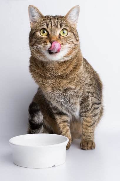 eat