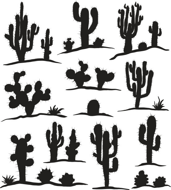 cacti
