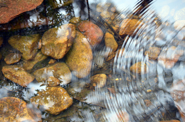 stream