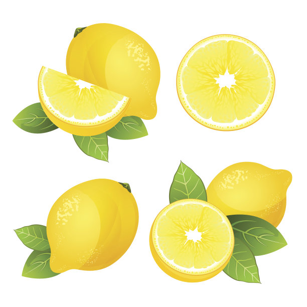 柠檬插画
