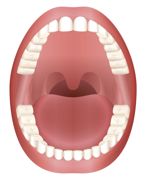 dental
