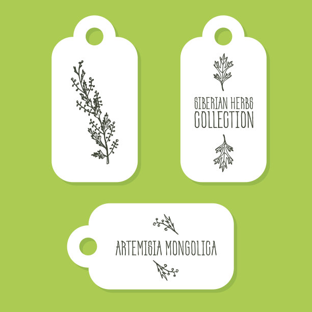 mugwort
