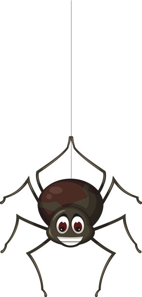 spider