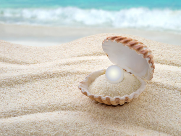 shells