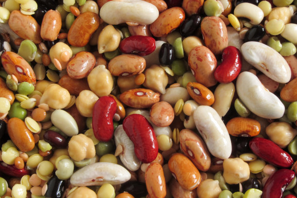 legume