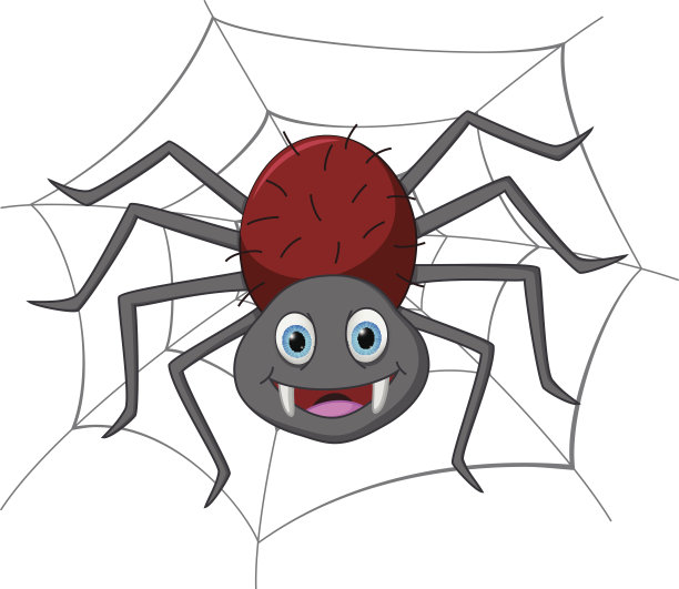 spider