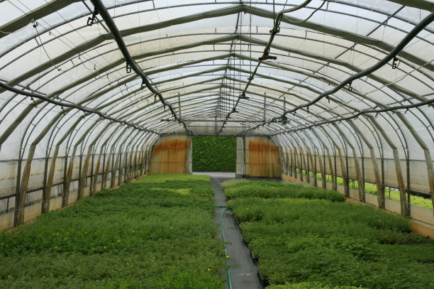 greenhouse