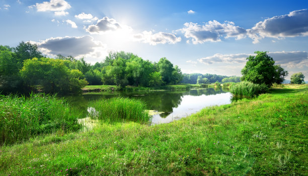 ponds