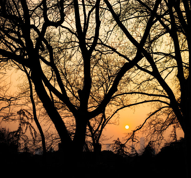 南京旅游南京剪影