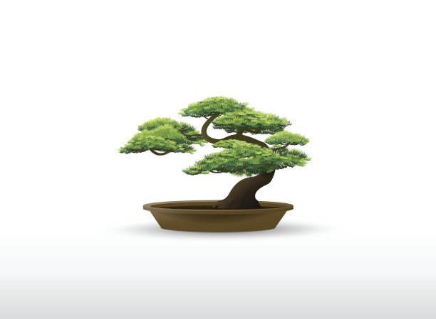 bonsai