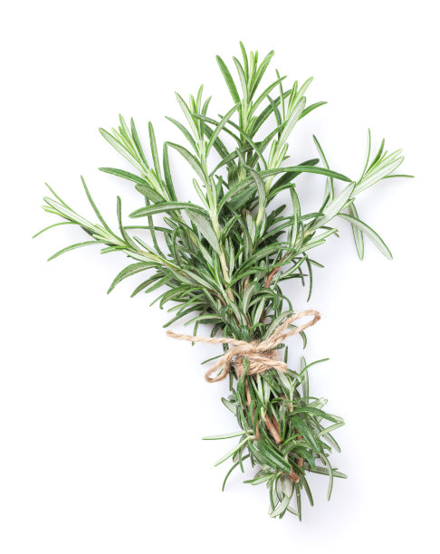 rosemary