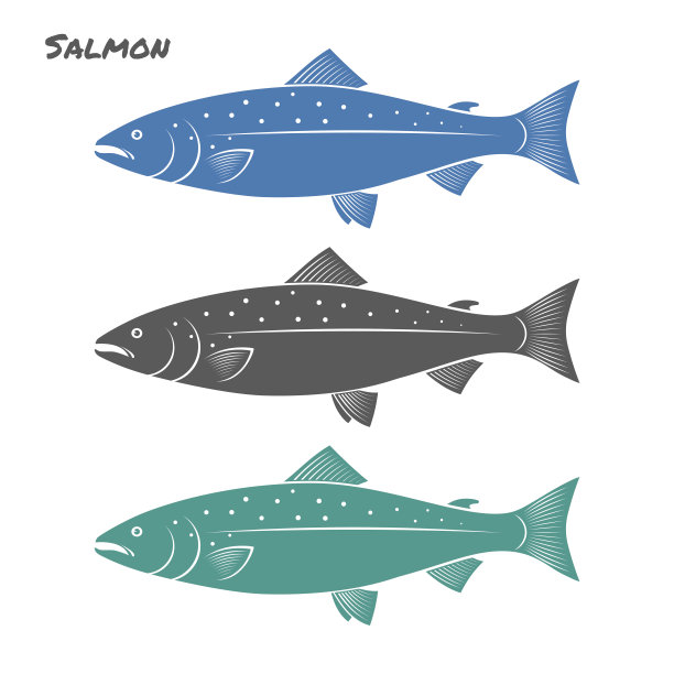 salmo