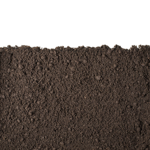 ground