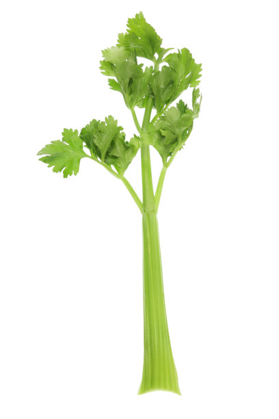 celery