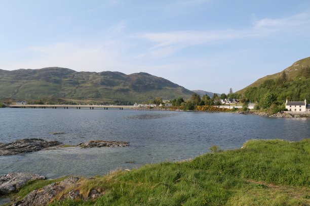donan