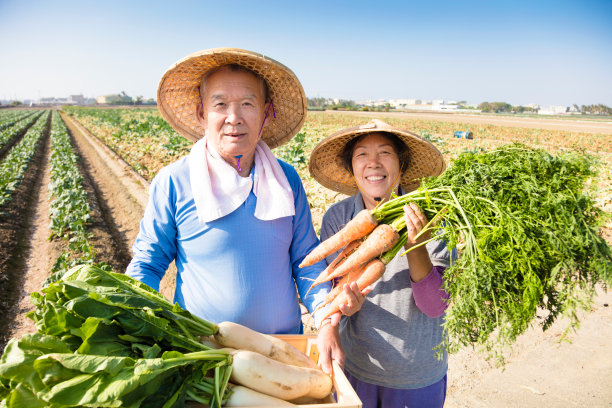 劳动人民最光荣