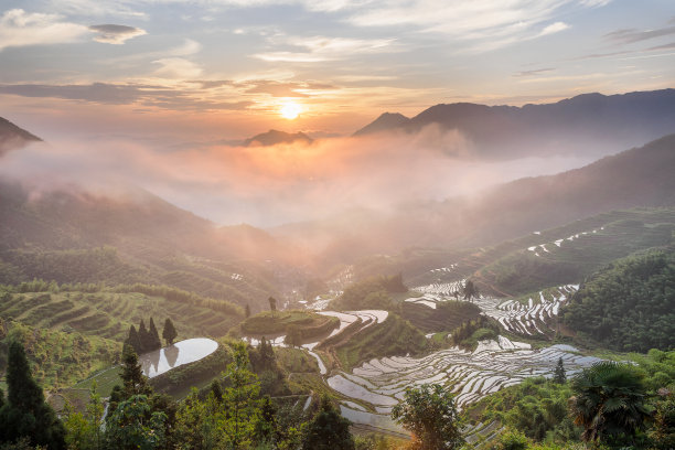 zhejiang