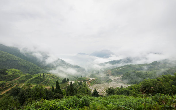 zhejiang