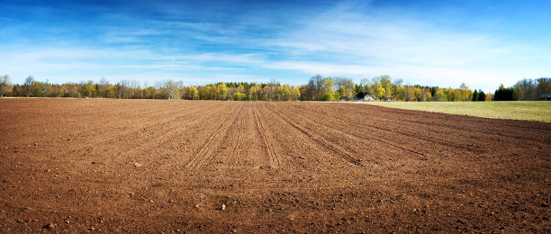 ground