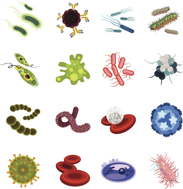 bacteria