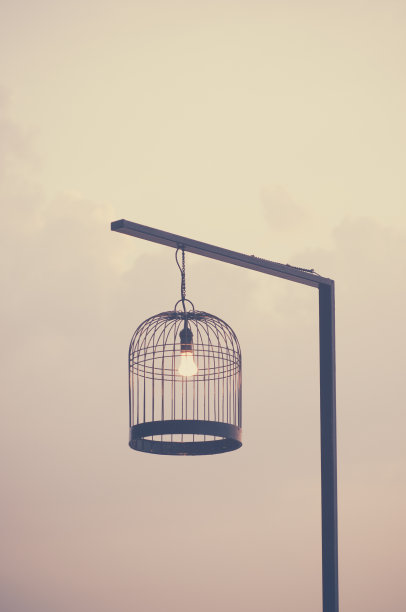 鸟笼吊灯
