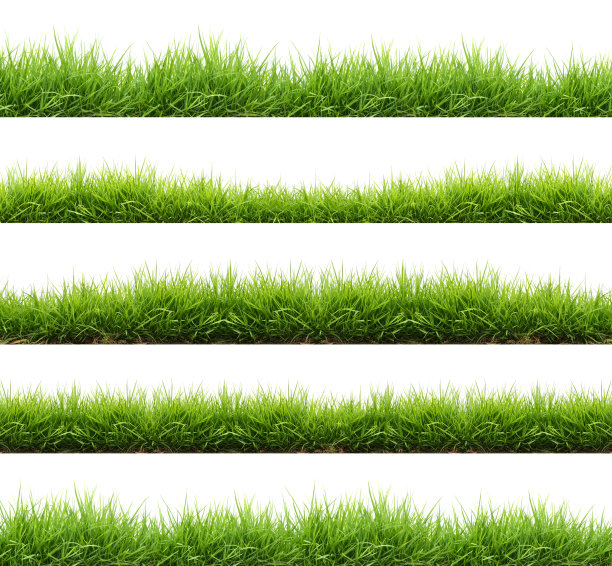 grass
