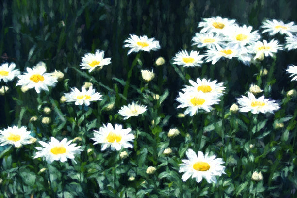 renoir