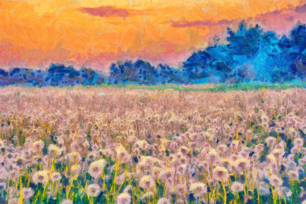 vincent