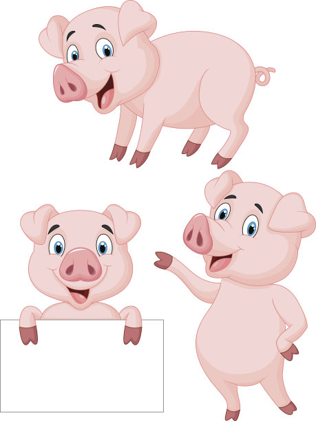 pig