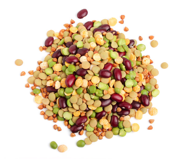 legume