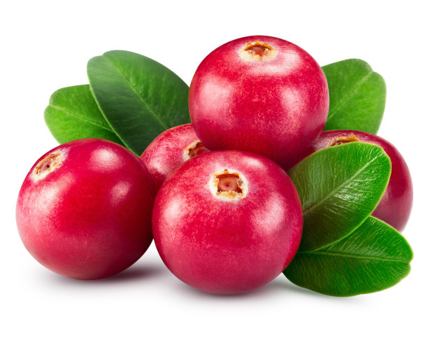 cranberry