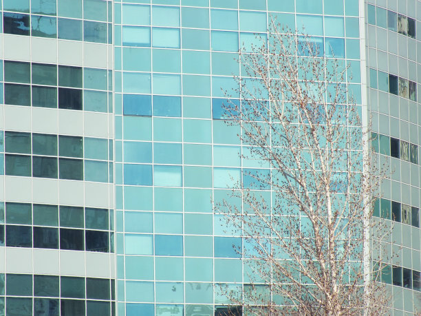 公共建筑磨砂玻璃窗