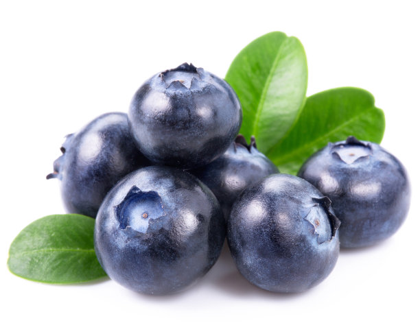 ericaceae