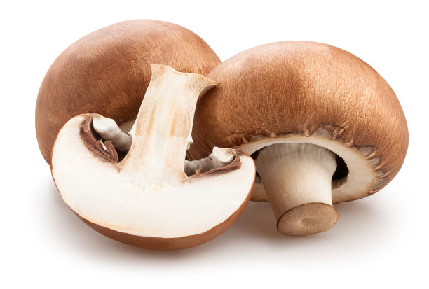 彩色的蘑菇