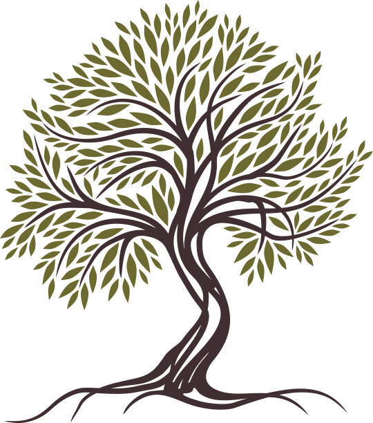 ayurveda