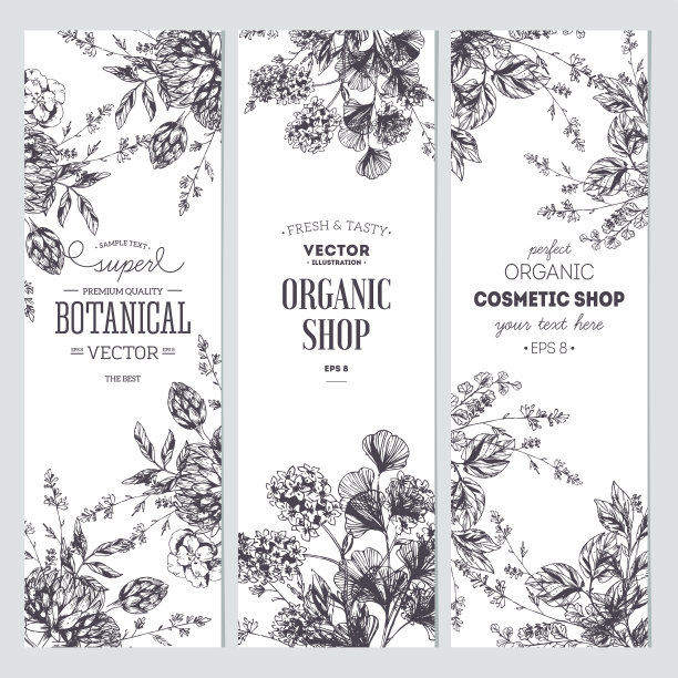 sketch