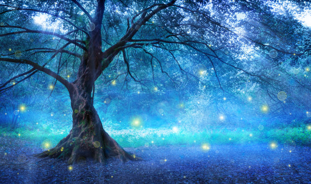 dream