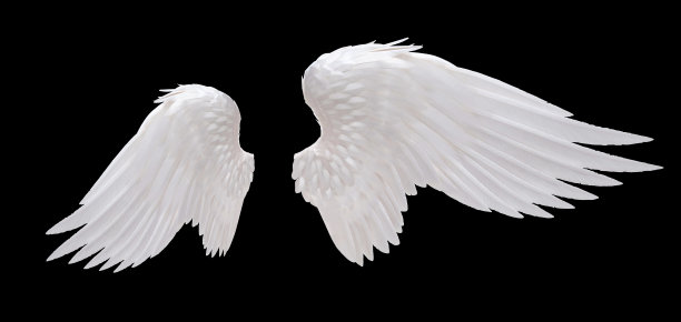 angel