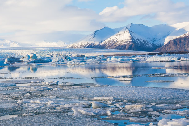 arctic